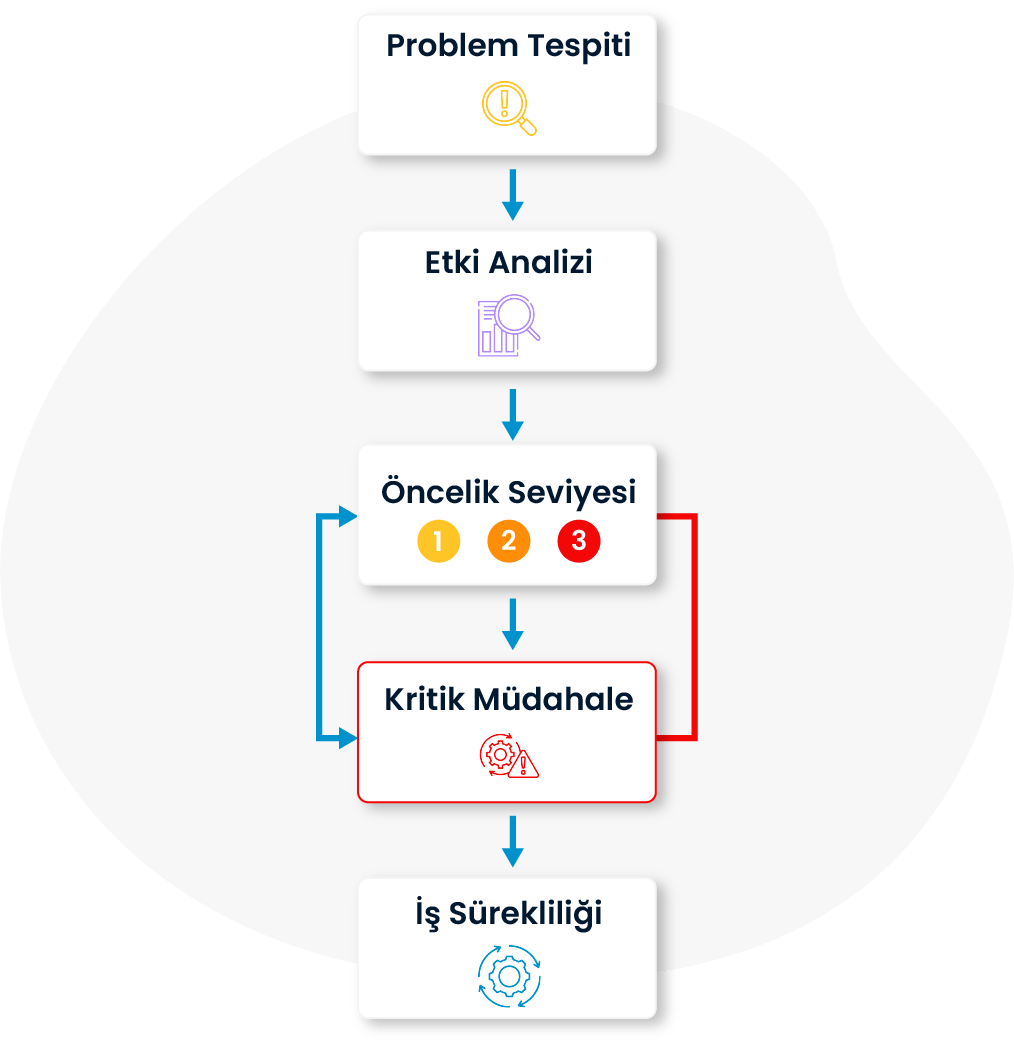 SPIDYA, Cheetah, problem yönetimi, problem management, bt hizmetleri, dijitalleşme,