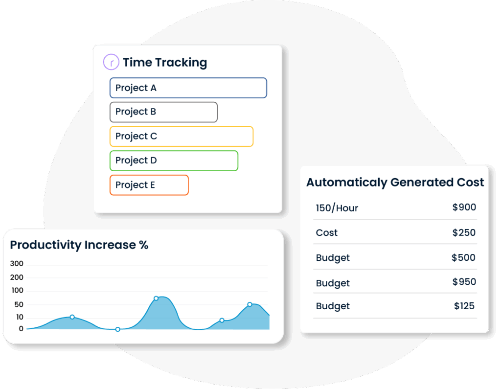 SPIDYA, Cheetah, time tracking, financial management, financial management software, itsm
