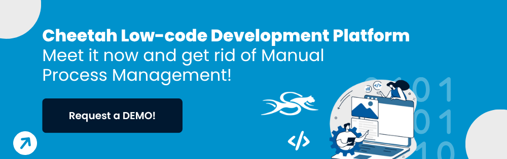 SPIDYA, Cheetah, retail, low-code, digitalization, supply chain management, xla, inventory management