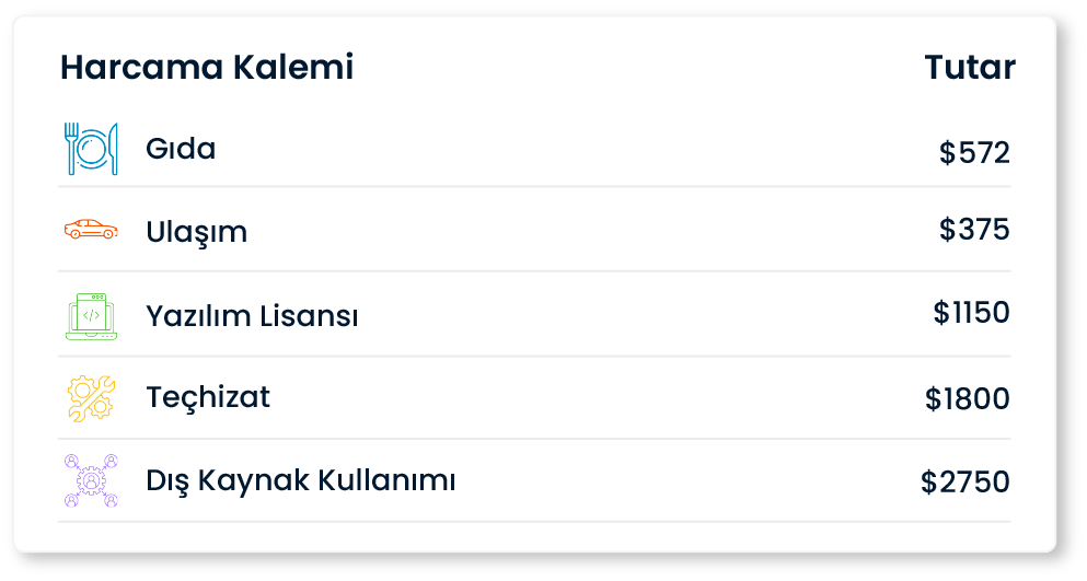SPIDYA, Cheetah, financial management, bt hizmetleri, finans yönetimi, muhasebe yazılımı, bütçeleme