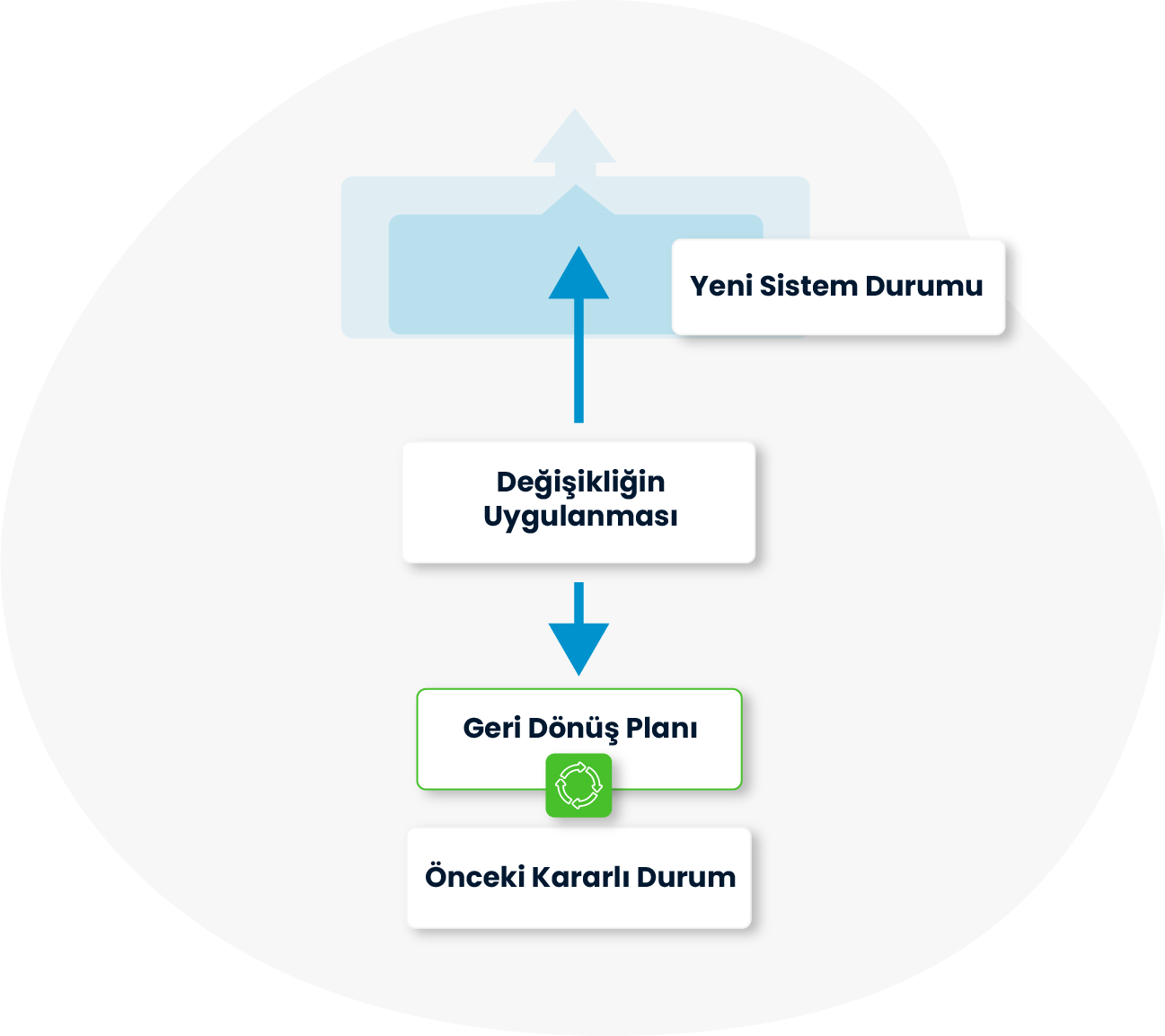 SPIDYA, Cheetah, değişiklik yönetimi, change management, risk yönetimi, bt hizmetleri, dijital dönüşüm