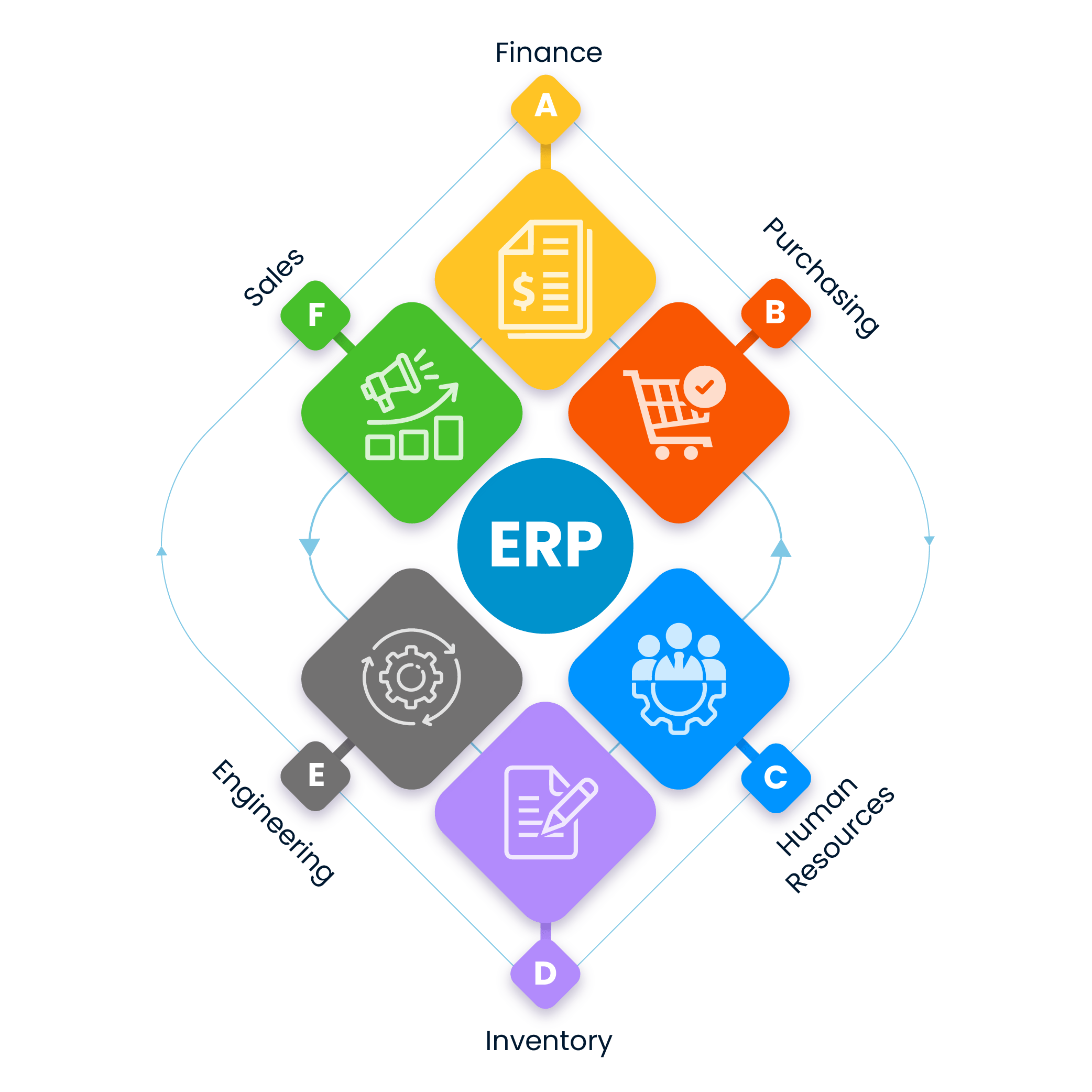 SPIDYA, Cheetah, digital transformation, ERP, enterprice resource planning, software development