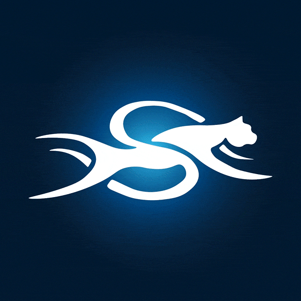 Cheetah, low-code, SPIDYA, field service, digitalization